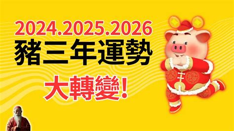 2024年豬|2024年最強運3生肖 屬豬事業、財富登巔峰